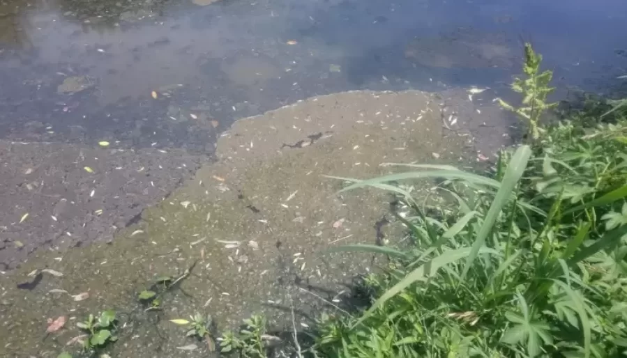 Vecinos de Gonnet piden por el arreglo de un gran pozo con peligro de derribar parte de las calles