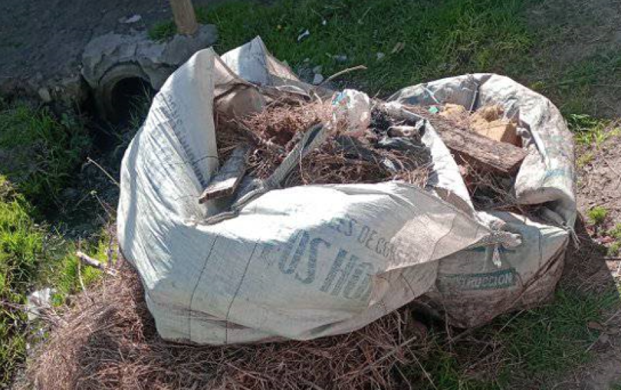 En 56 y 159 reclamaron por un basural: piden mayor recolección en la zona