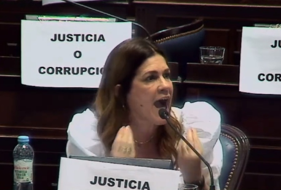 La diputada de Patricia Bullrich fue aplaudida irónicamente por el Frente de Todos por su confuso discurso: risas en Juntos