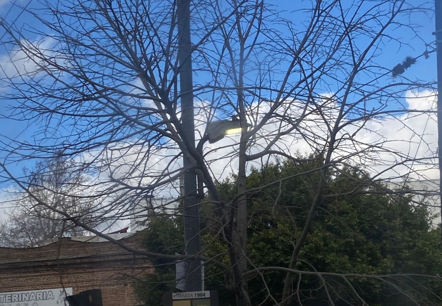 Vecinos se quejan por una luminaria que “está prendida las 24 horas” en diagonal 80