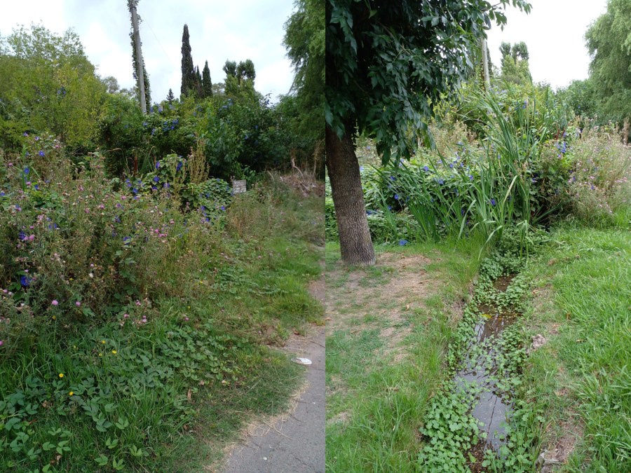 En Villa Elvira piden que se haga mantenimiento en las cunetas