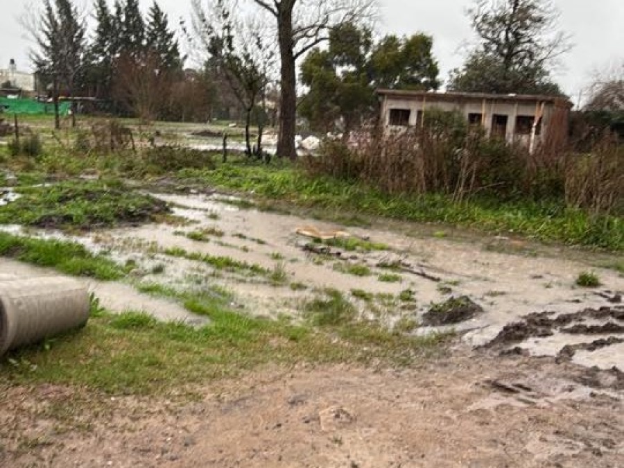 ”Queremos entrar a nuestras casas”: El reclamo de vecinos de 133 bis y 82 por el mal estado de la calle