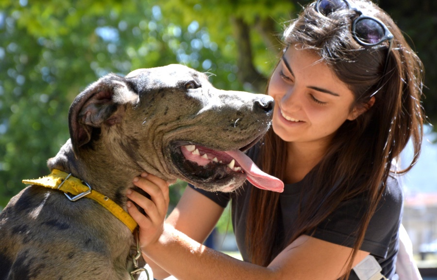 Arte, vacunación y desparasitación de mascotas en ”la Repu”