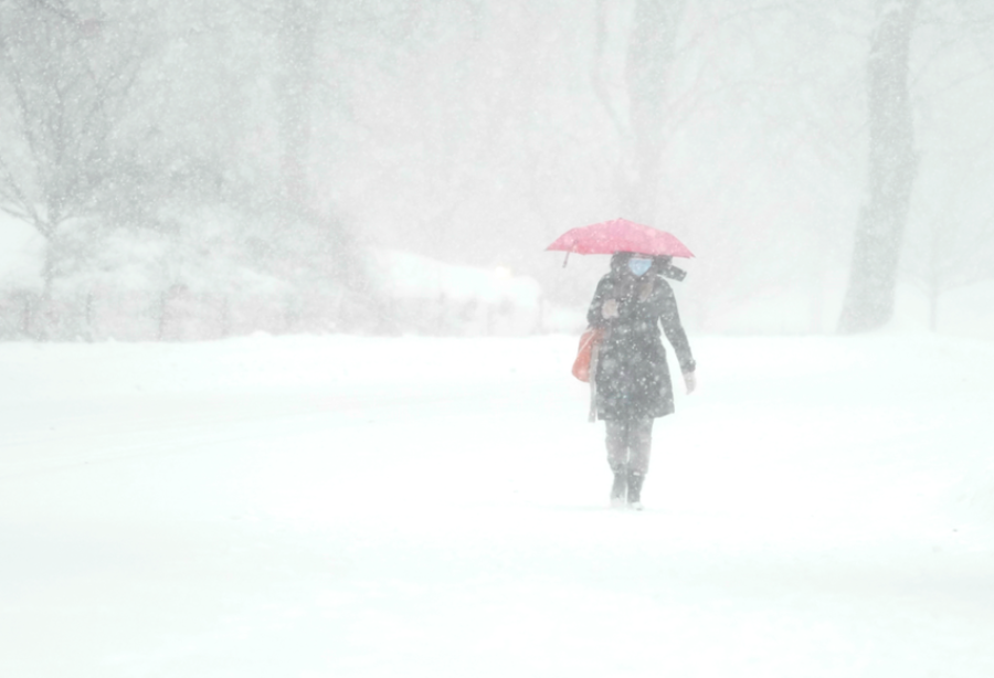 Con frío extremo también pasa: unos 200 mil hogares sin luz en EE. UU. por tormentas de nieve