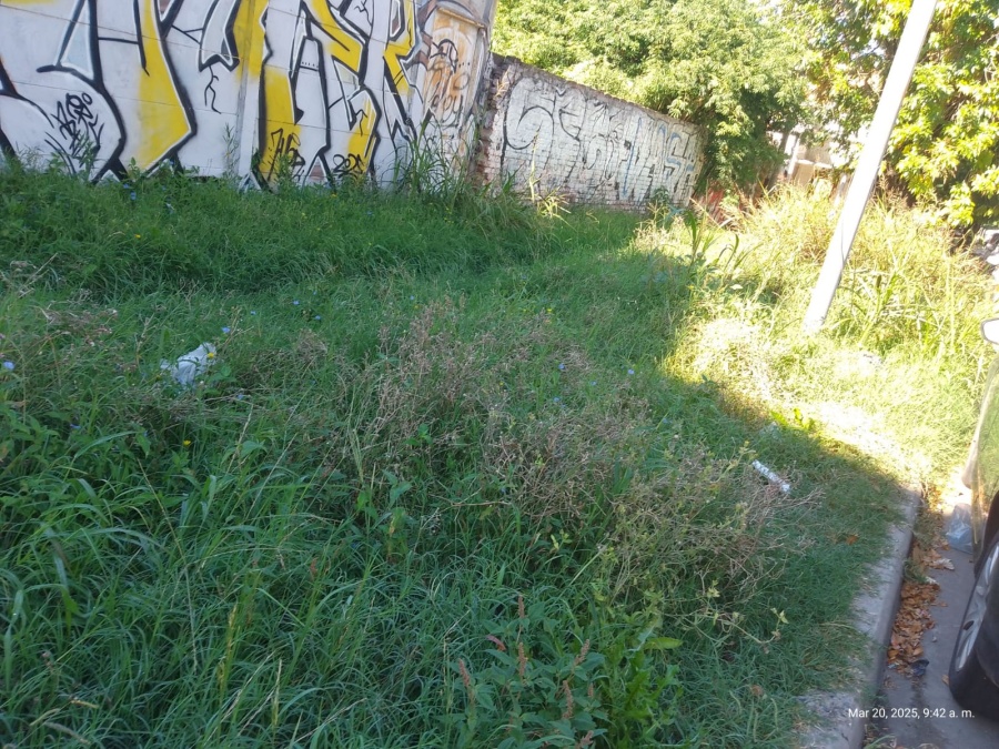 Reclaman por el pastizal en una cuadra de la zona del Parque Castelli