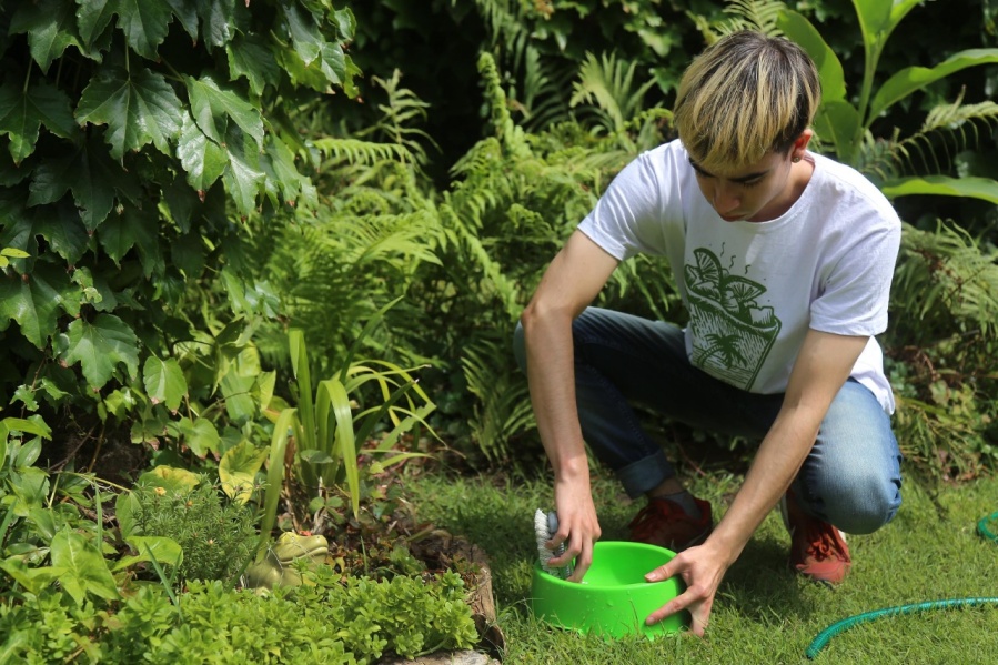 Dengue: Tras las lluvias, algunas recomendaciones para evitar la formación de criaderos