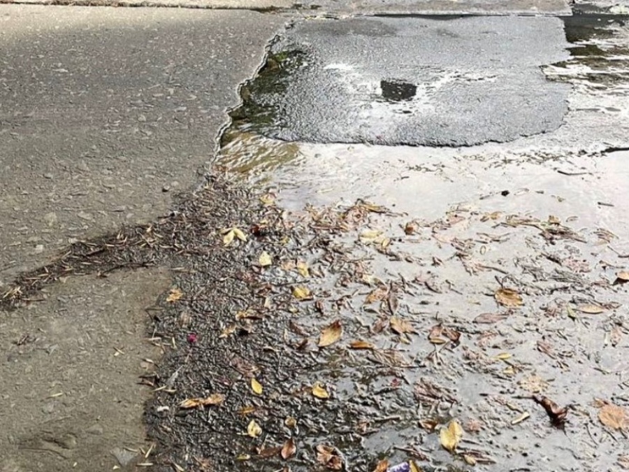 En la zona de Parque Saavedra reclaman por una gran pérdida de agua en la calle