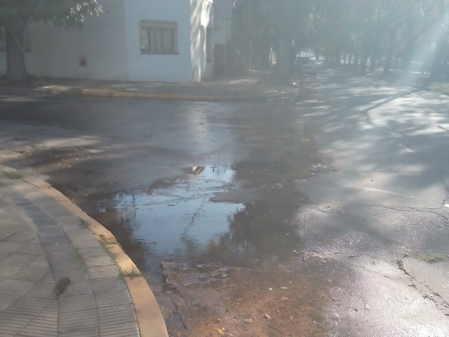 Vecinos alertaron la presencia de mosquitos por una pérdida de agua en El Mondongo