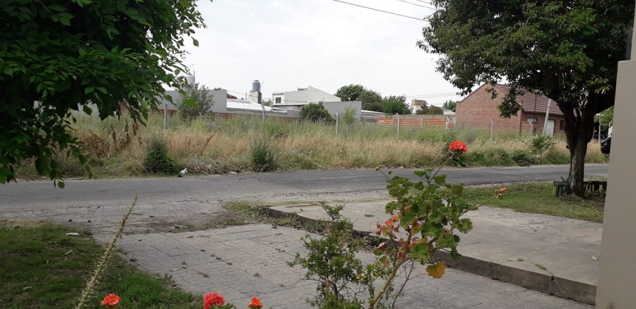 ”Los vecinos hacen lo que el municipio debería hacer”: la queja constante de los frentistas de la periferia