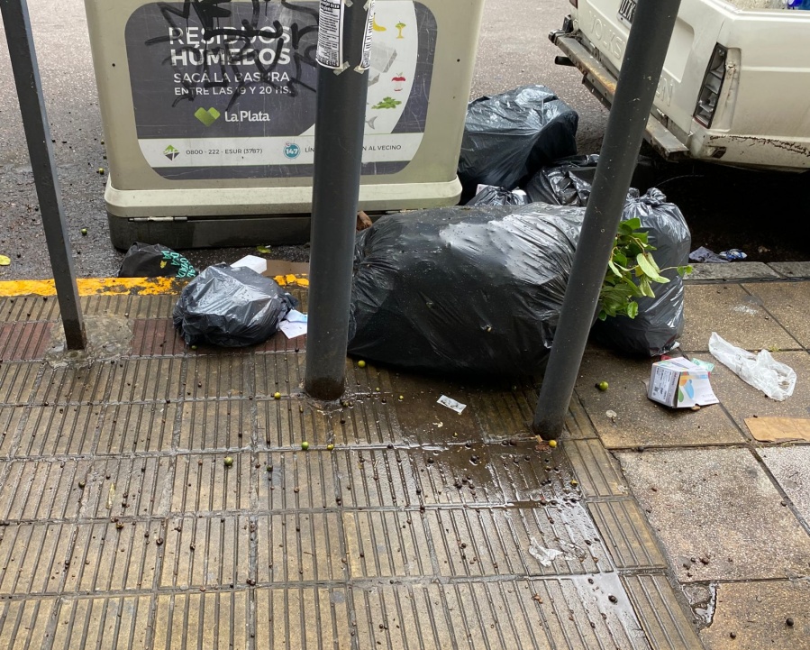 En 6 y 47, los vecinos se quejaron por un contenedor desbordado de basura