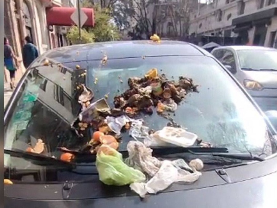 Un vecino de La Plata le tiró basura a un auto que le tapaba la entrada del garaje
