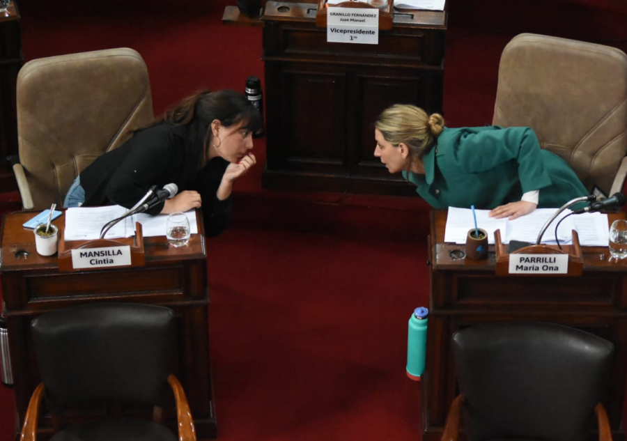 ¿La tercera es la vencida? Dieron media sanción a las licencias coparentales para los concejales de los 135 municipios