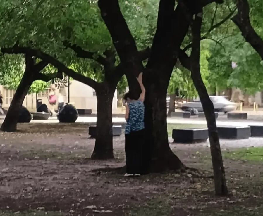 Una mujer fue acusada de envenenar a perros y gatos en el Parque San Martín