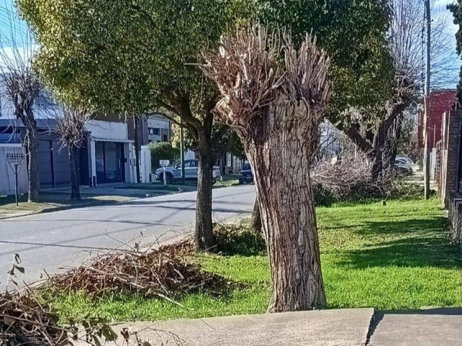 Indignación entre los vecinos de calle 39 entre 135 y 136 por los montículos de residuos que obstruyen el paso