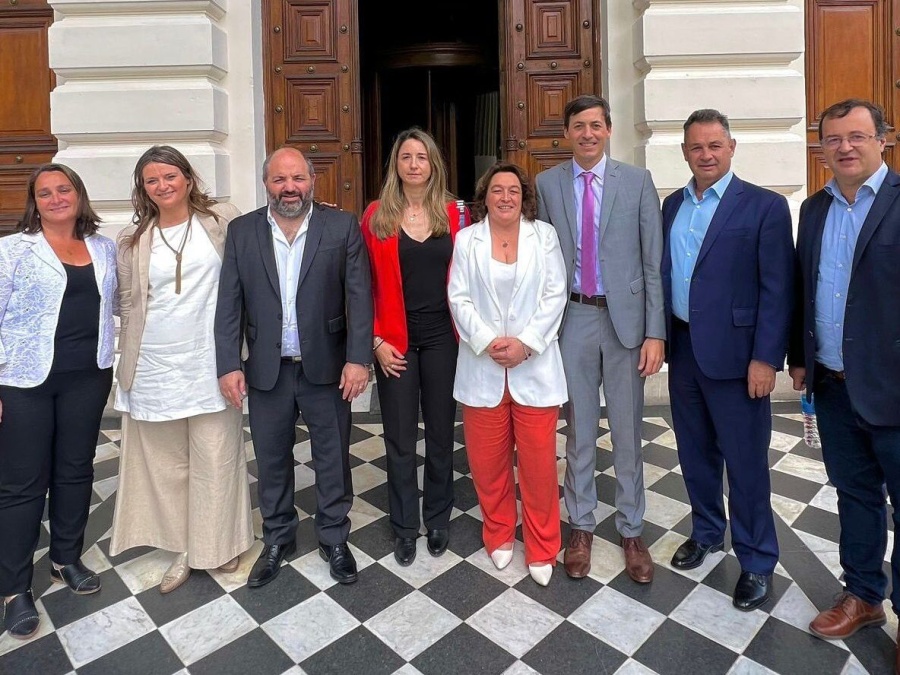 Tras el decreto de Milei sobre las cajas provinciales, radicales pidieron saber el estado actual del IPS bonaerense