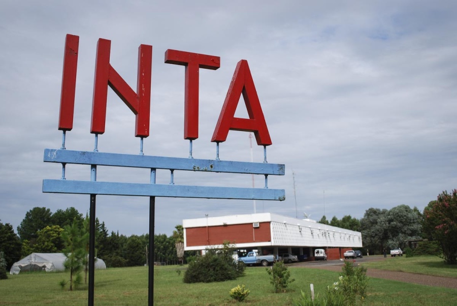 Un fallo judicial ordena frenar los despidos en el INTA y sanciona al gobierno con una multa millonaria