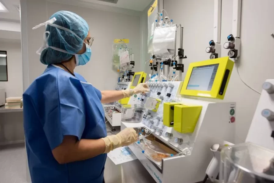 Una vacuna contra el cáncer de páncreas demostró resultados prometedores