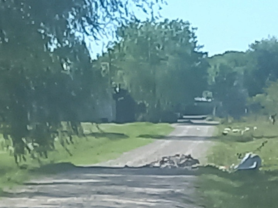 Vecinos de City Bell afirman que taparon los pozos de una calle ”con basura”