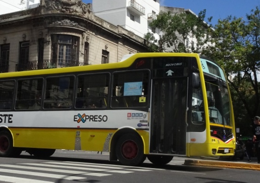 Volvía del centro de La Plata en el Este y por un ”descuido” ahora no puede hacer las tareas de la escuela: ”Pido empatía”