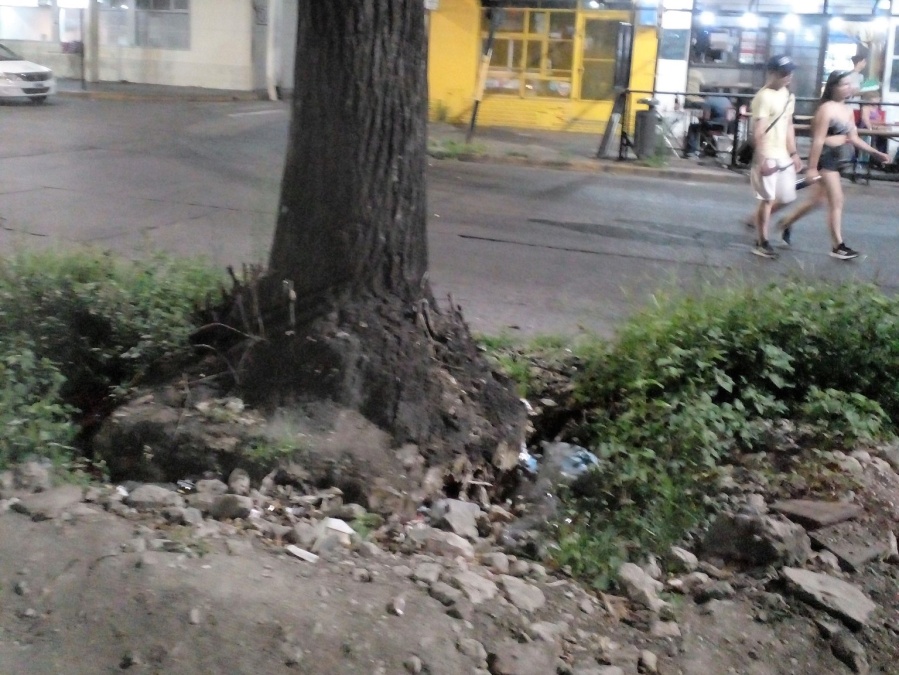 En 42 y 3 reclaman por un gran pozo que ”no tapó la municipalidad”