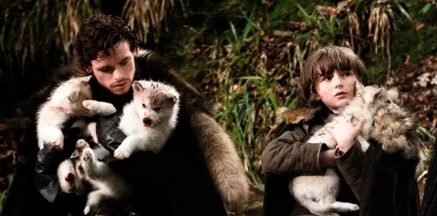 Científicos lograron revivir al lobo gigante de “Game of Thrones”