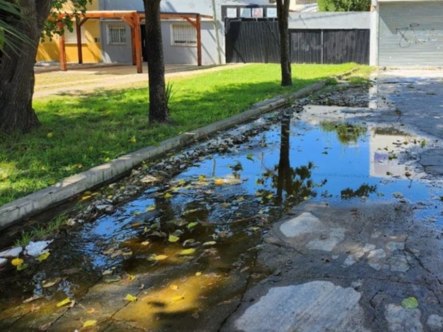 Reclaman por una gran pérdida de agua en un barrio de La Plata: ”Es una fuente de dengue”