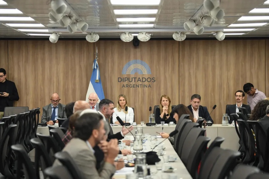 La oposición destrabó la Comisión investigadora por el caso Libra que complica al Gobierno