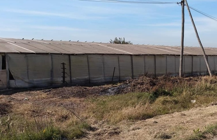 Vecinos denuncian mugre en la 197: ”Estamos en un estado de total abandono”