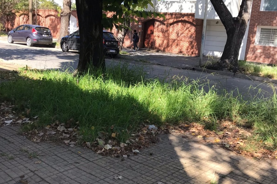 En 22 y 55 se quejaron de que no se corta el pasto y muchos vecinos arrojan su basura