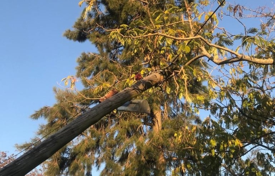 Un poste de luz está a punto de caerse en una plaza de Lisandro Olmos