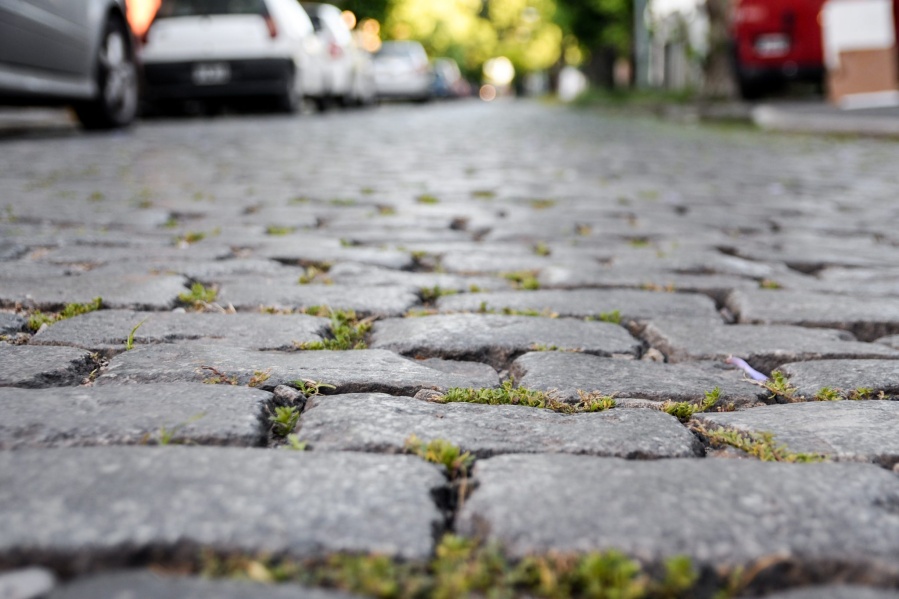 La Justicia suspendió el asfaltado sobre los adoquines patrimoniales de La Plata