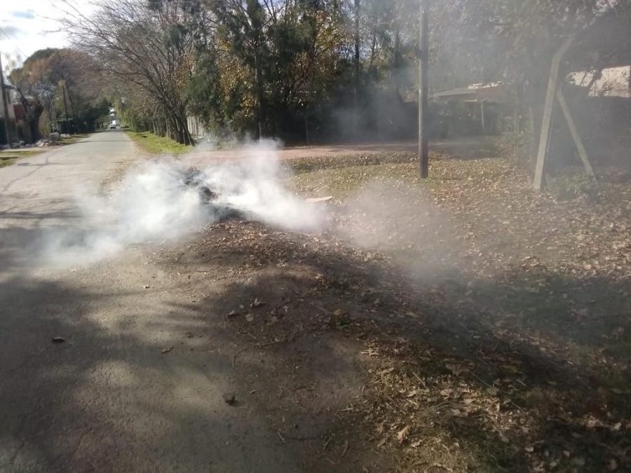 Vecinos de Arturo Seguí decidieron quemar las hojas de los árboles por la falta de recolección