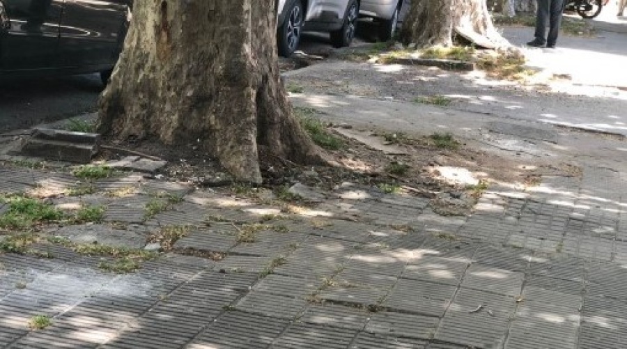 En 42 Y 8 “Hace más de diez años venimos reclamando”