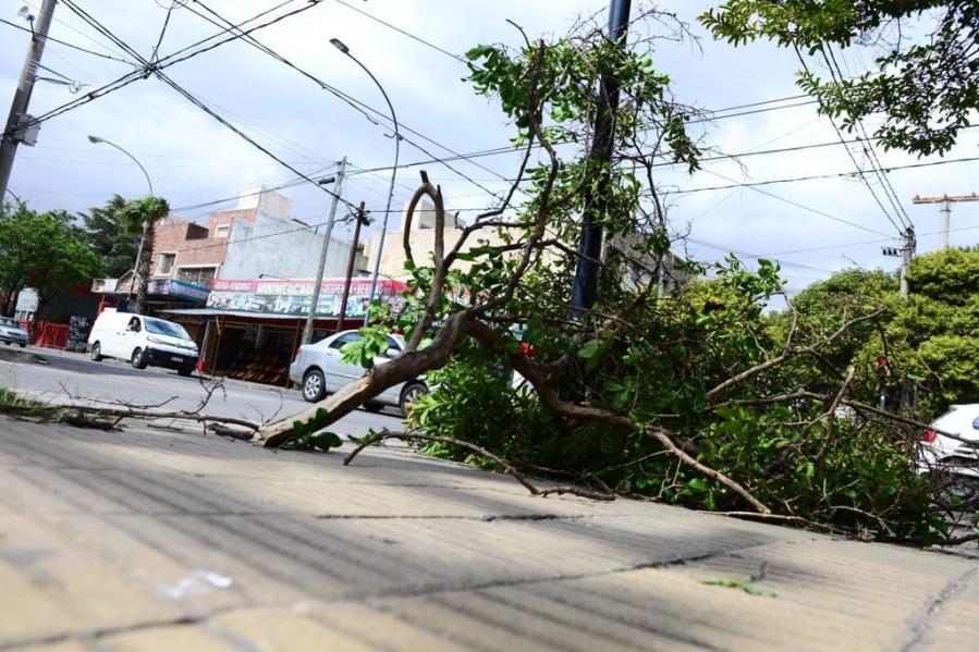 Se vuela todo en la ciudad: nivel amarillo por fuertes ráfagas
