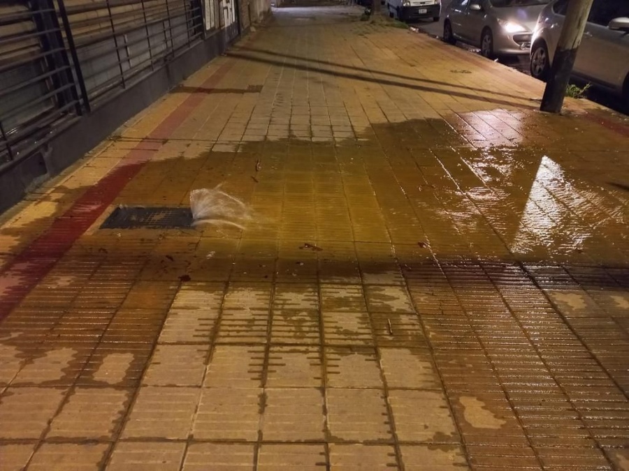 Vecinos de 60 y 15 se encuentran reclamando por una ”gran perdida de agua que forma una laguna” en el medio de la vereda