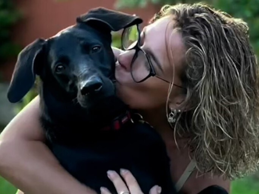 Dani La Chepi terminó herida al intentar separar a su perra de una pelea