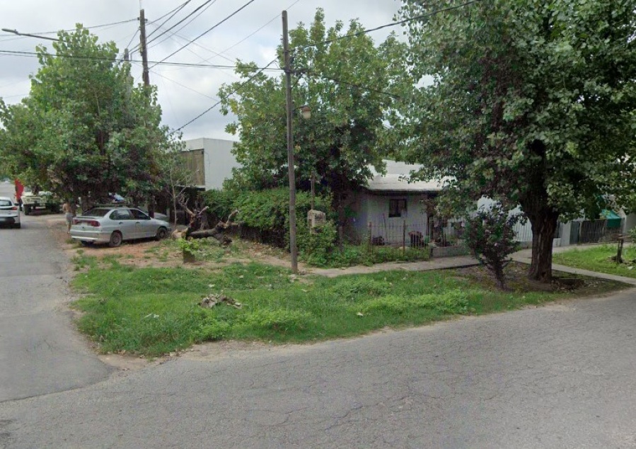 El horror detrás de una vivienda en La Plata: Rescatan a más de 200 animales en condiciones deplorables