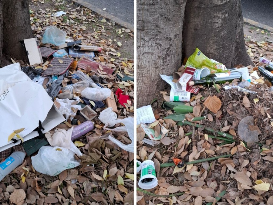 Vecinos denuncian el mal estado de Plaza Brandsen