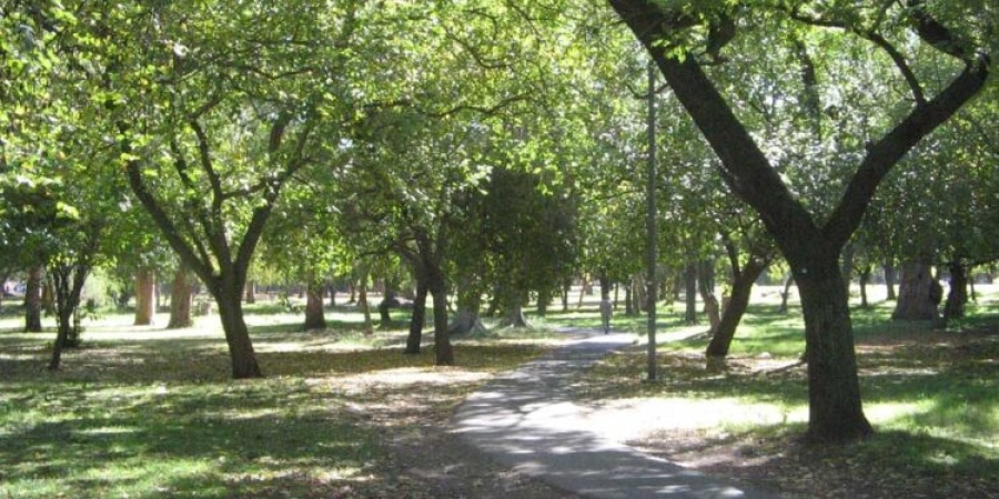 ¿Dónde quedaba ”el villa cariño” platense? Un lugar que marcó la historia de amor de muchos