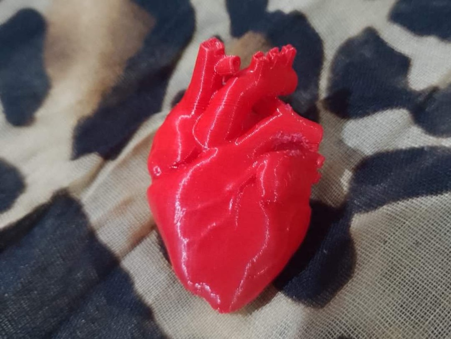 Encontró un ”corazón tirado bajo la lluvia” en La Plata, un detalle la sorprendió y buscó al dueño: ”Sé que no es casualidad”