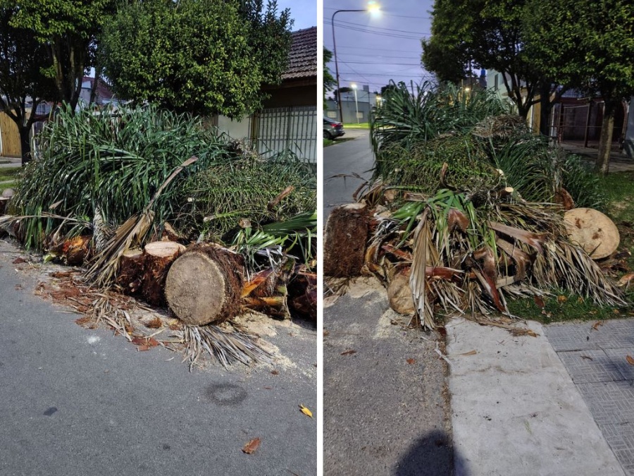En la zona de 529 entre 131 y 131 bis vecinos solicitan la limpieza de las veredas