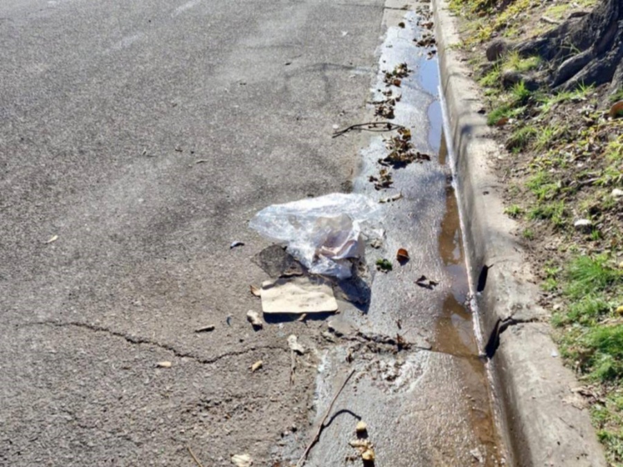 “Hace mucho tiempo que no vemos pasar gente barriendo”: Vecinos reclaman la limpieza en calle 521 entre 6 y 7