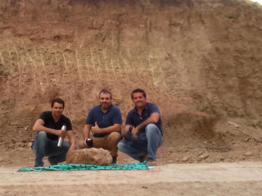 Cuando unos curiosos se toparon con el oso más grande del mundo en La Plata: su increíble tamaño