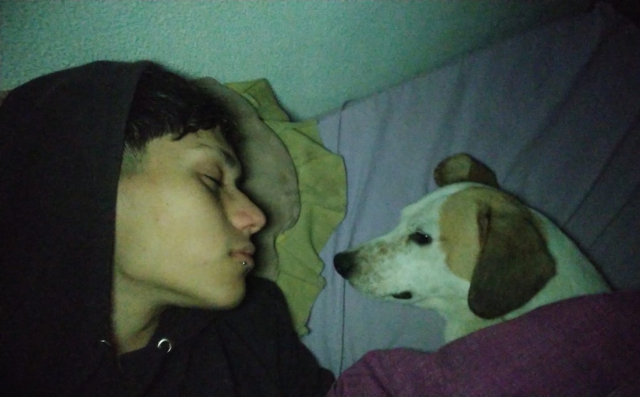 Todas las madrugadas recorre desesperadamente las calles de La Plata por Chocho y no para de llorarlo: ”Estoy sin dormir”