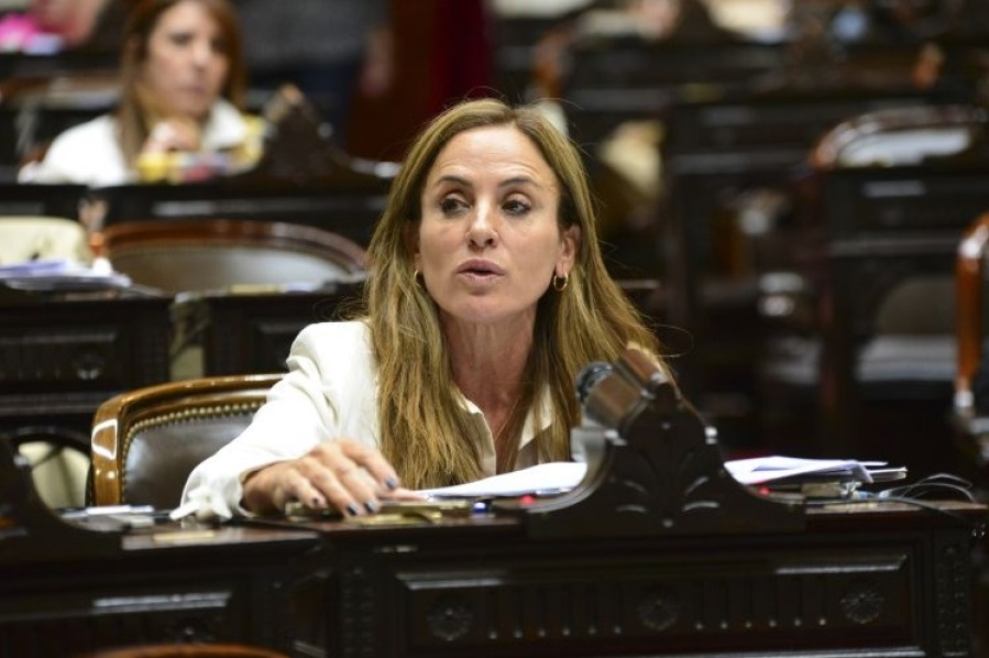 Tolosa Paz marcó el debate con una férrea defensa a la ley contra la ludopatía: ”El consumo problemático está en las casas”