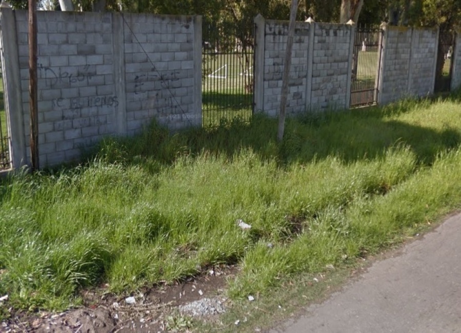 En 146 y 62, los vecinos se quejaron por la falta de mantenimiento sobre los pastizales: ”Nos cansamos de reclamar”