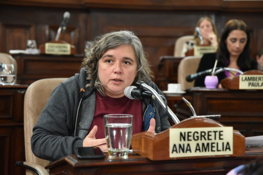 Presentaron un proyecto solicitando informes de las medidas de prevención en un barrio de La Plata que sufrió anegamientos