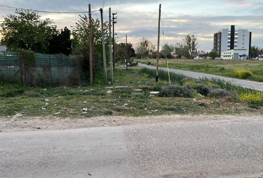 Los vecinos de calle 131 y 36 reclaman el mantenimiento de los espacios verdes