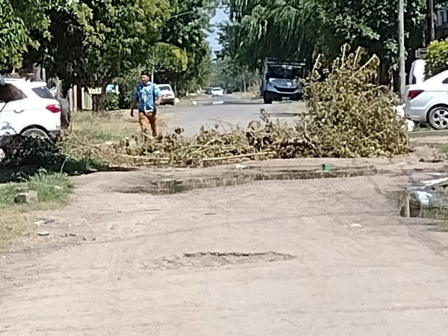 En Los Hornos hay una calle ”que es imposible transitar”