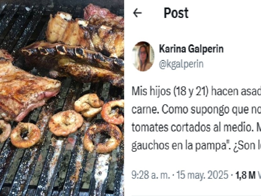Una mamá contó que sus hijos hacen asados y solo comen carne, sin guarnición y se abrió debate: “¿Son los míos o es general?”